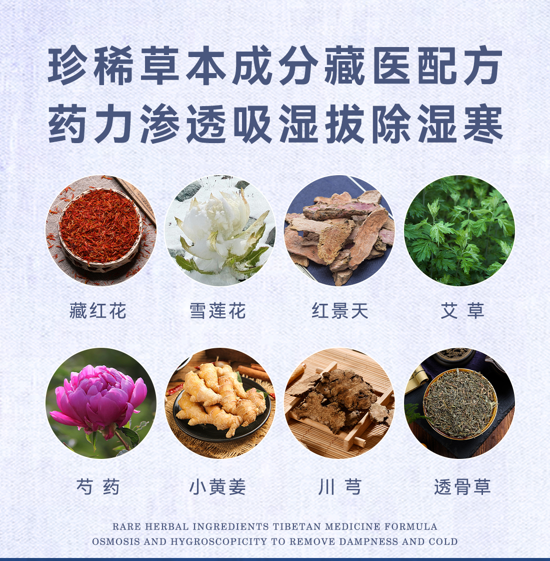 藏姜泥膏產(chǎn)品詳情圖片04