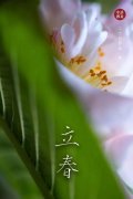 眾志成城，終將迎來(lái)春暖花開|抗擊疫情，尚你美正在行動(dòng)